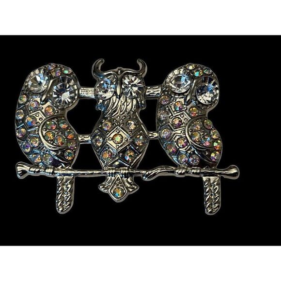 Silver Horned Owl on Branch Brooch Trio of Owls Crystals Rhinestone Eyes Costume - Picture 2 of 5